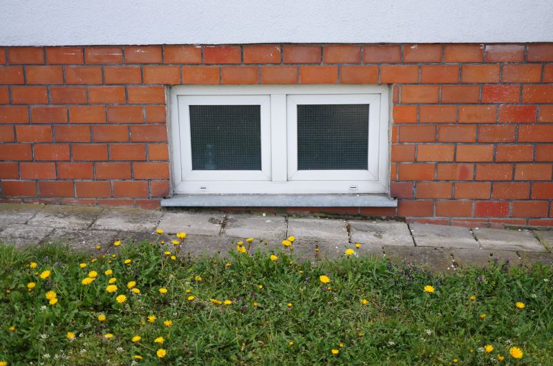 Basement Window Service